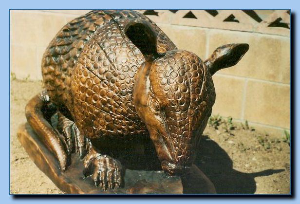 2-01 armadillo-archive-0002